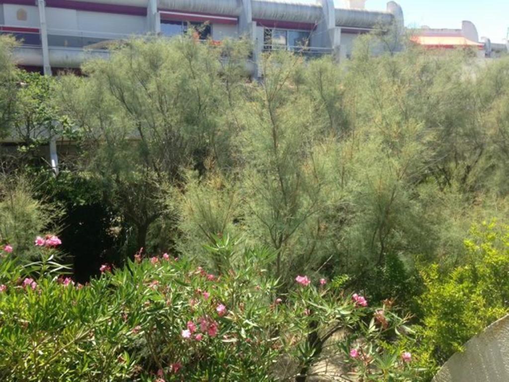 Appartamento Vittoria Immobilier 12 La Grande-Motte Esterno foto
